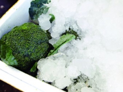 冷銀碎冰系統(tǒng)